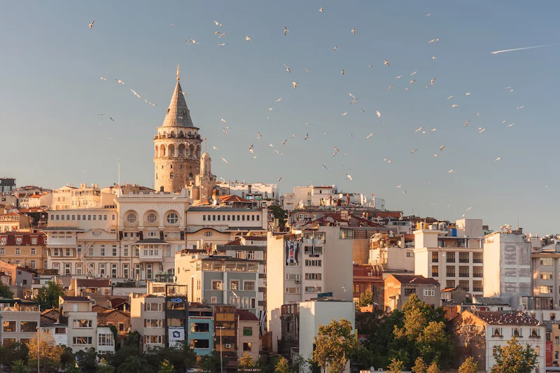 Galata Tower and the Istanbul skyline